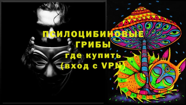 СК Алзамай