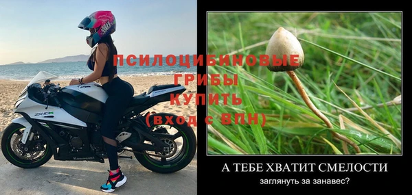 дживик Алексеевка