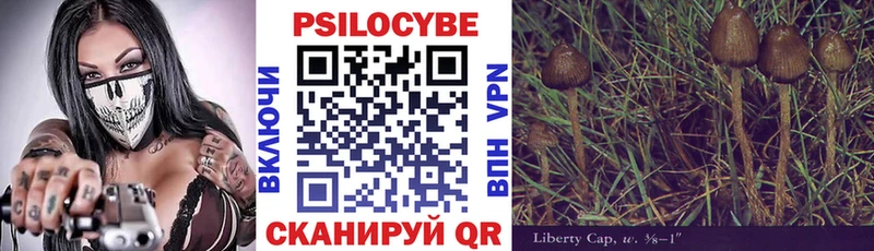 дарнет шоп  kraken ТОР  Галлюциногенные грибы Psilocybine cubensis  Дзержинский 